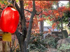 -唐风温泉