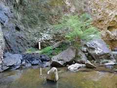 -雁荡山三折瀑景区