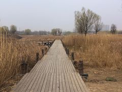 -马家湾湿地公园