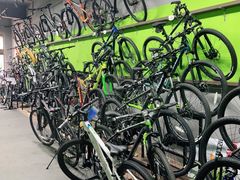 -道路口单车爱瓦士dahon大行