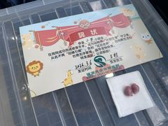 -瑞派天使宠物医院·神经外科·骨科·核磁CT(洛川中路店)