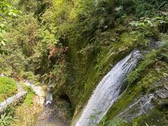 -鹿院坪生态旅游景区