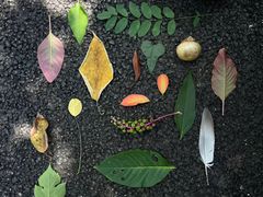 -凡老头米线砂锅(古荡新村西粮站)
