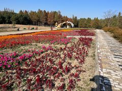 -同里国家湿地公园