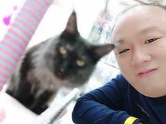 -糯米喵星人·撸猫猫舍咖啡馆(西市场嘉华店)