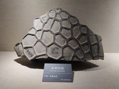 -安徽省地质博物馆