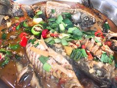 -全乐鱼馆·淳牌有机鱼直营店