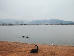 -长兴太湖图影湿地文化园