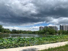 -太阳宫公园