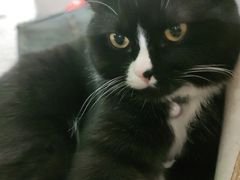 -么么咖啡(燕郊店)