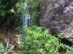 -南海湾森林生态园