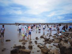 -东疆建设开发纪念公园