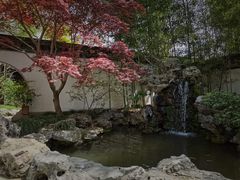-上海醉白池公园