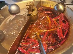 -小龙翻大江文化火锅(宽窄店)