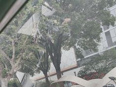 -同济大学附属口腔医院