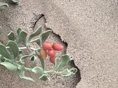 -敦煌雅丹国家地质公园