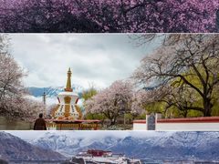 -宗角禄康公园