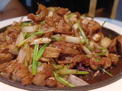 -秀儿四九城·新京菜(亚运村鸟巢店)