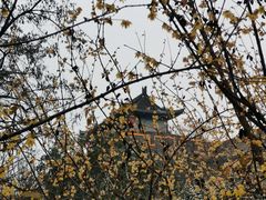 -西安城墙·碑林历史文化景区