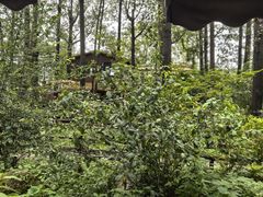 -林间山庄