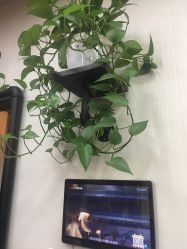 -AFA Hair studio·女士发型设计