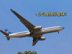 -空港花田景区