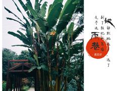-重庆彩云湖湿地公园