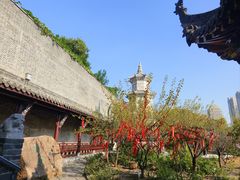 -长春观