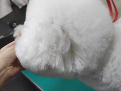 -安安宠医·安宠宠物医院