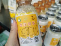 -德禄酸奶(莫家街店)