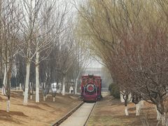 -永定河休闲森林公园