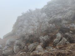 -灵山