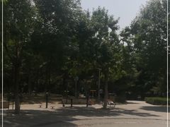 -大兴滨河森林公园