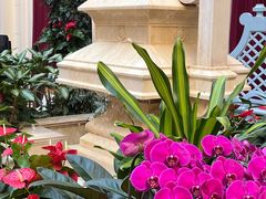 -利顺德大饭店·维多利亚花园(小白楼店)