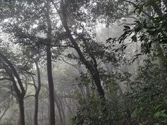 -韬光茶庵