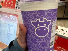 -一只酸奶牛(来福士店)