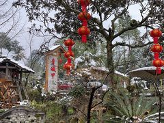 -青城甲(青城山店)