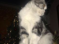 -一品格美术·中考高中成人美术培训