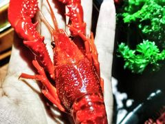 -红盔甲·小龙虾(天钥桥店)