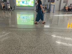 -上海浦东国际机场-T2航站楼