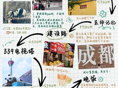 -成都大熊猫繁育研究基地