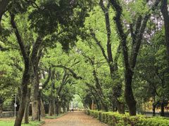 -桂林独秀峰王城景区