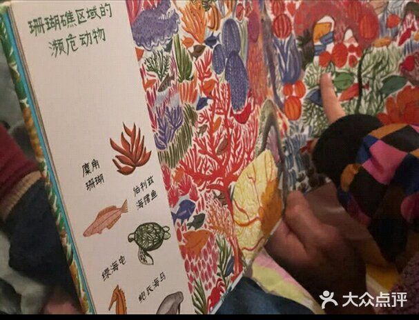 推荐给孩子的濒危动物手绘书[礼花]