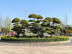 -金银湖国家城市湿地公园