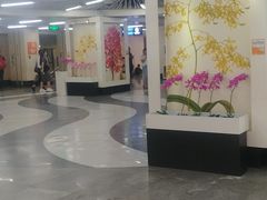 -连城·新天地(福华一路店)