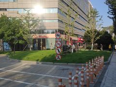 -【朵云轩艺术中心】博洛尼亚插画展·中国巡展·上海站