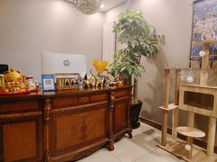 -巴拉吉·SPA·按摩养生馆