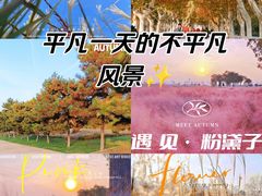 -汉长安城未央宫国家考古遗址公园