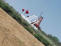 -大塘金香草谷