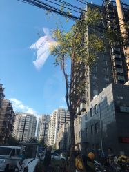 点击看大图 -痘博士北京·全国连锁祛痘机构